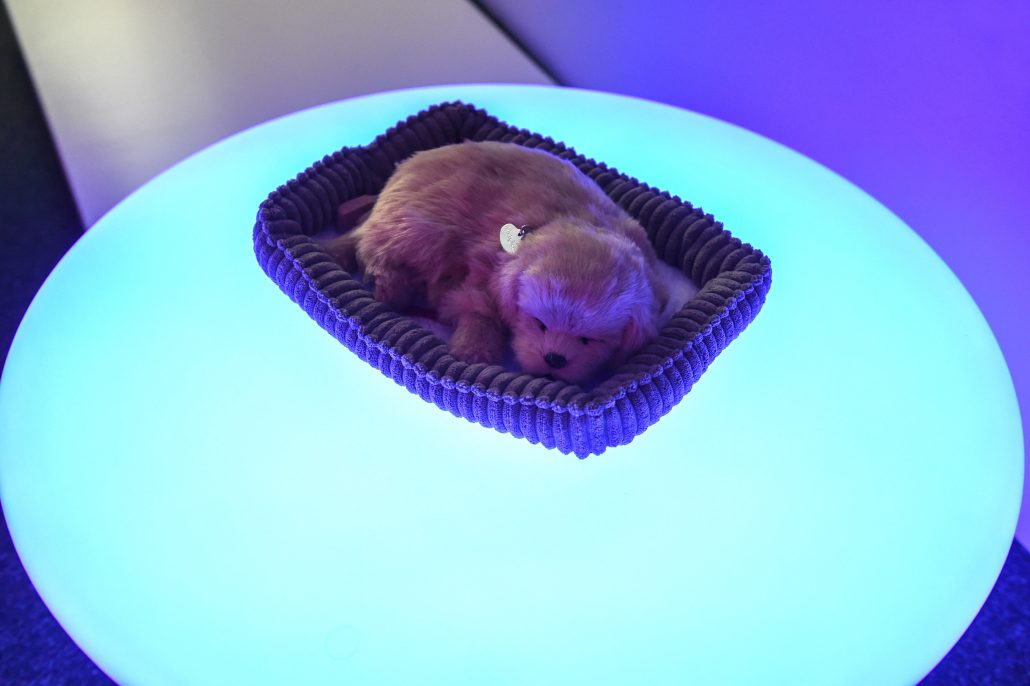 17025_G_Kartanas-min